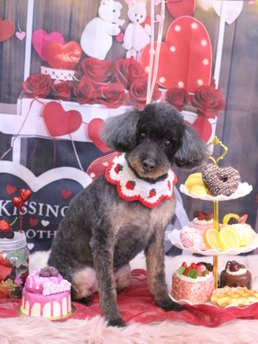 20250214ねねちゃん